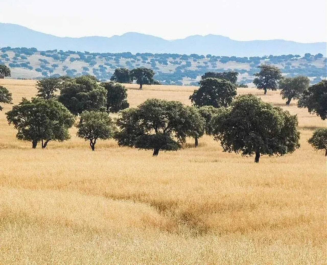 Villa Somptueuse à Fernán Caballero avec Piscine Privée in Fernán Caballero, Province de Ciudad Real