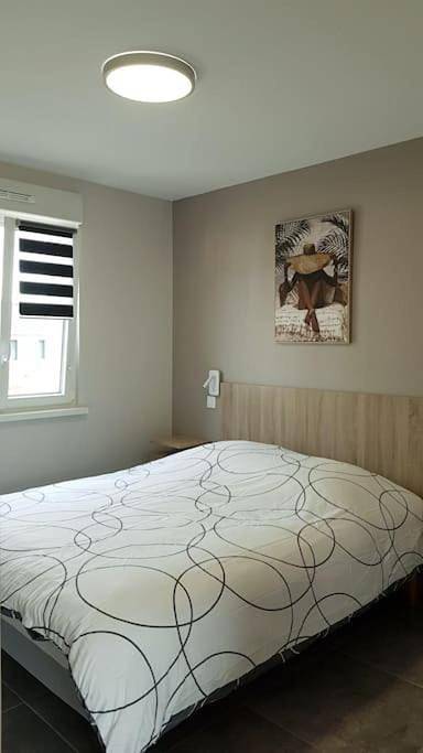 Maison de vacances pour 4 personnes, avec vue sur le lac et jardin en Moselle - 2