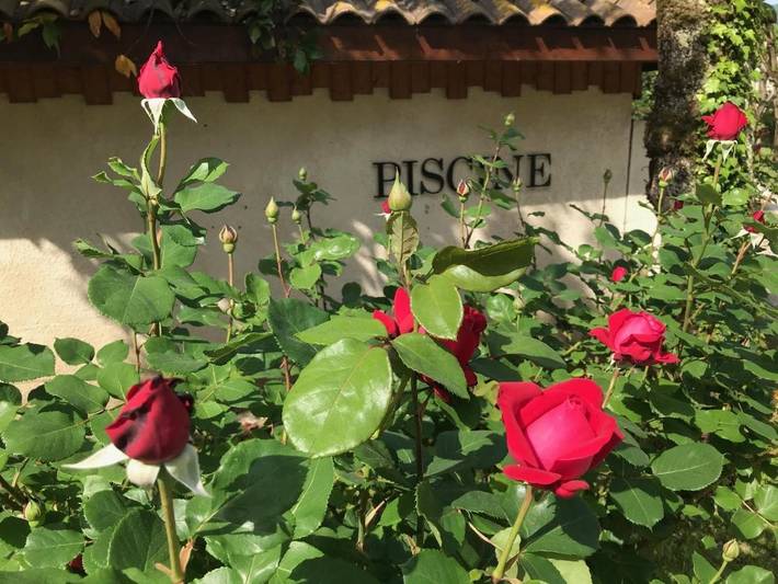 Hôtel pour 3 personnes, avec jardin et jacuzzi ainsi que piscine et sauna, animaux acceptés à Saint-Jean-en-Royans - 3