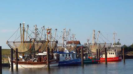 Ferienwohnung für 3 Personen in Wesermarsch