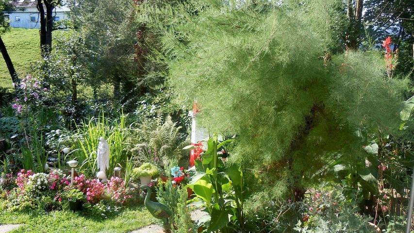 Ferienwohnung für 3 Personen, mit Garten und Balkon, mit Haustier in Kirchzarten