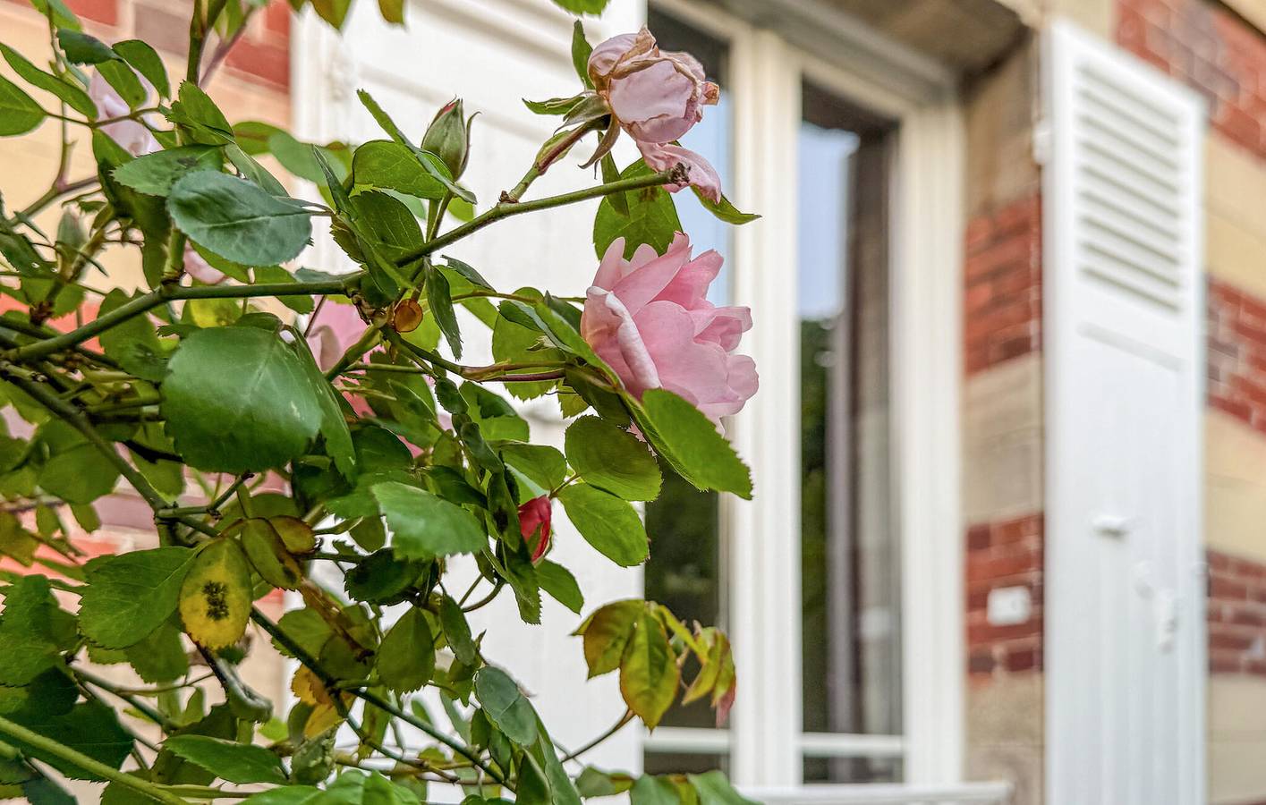 Acogedor apartamento en Chantilly - Cerca del centro de la ciudad y del río in Chantilly, Río Oise