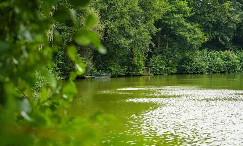 Location de vacances pour 6 personnes, avec vue à Passais - 2