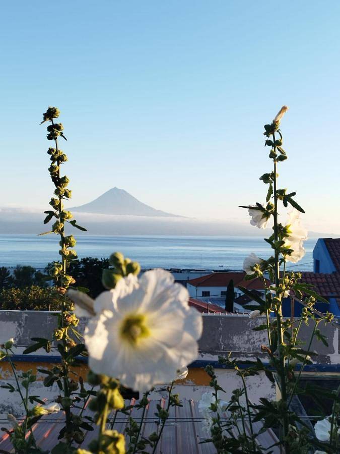 Apartamento inteiro, Magma Rral3529 in Velas, São Jorge (Portugal)