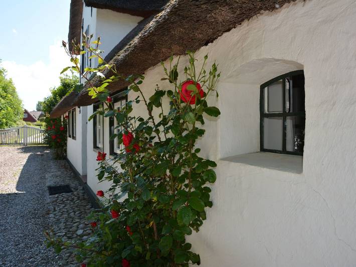Ferienhaus für 3 Personen, mit Terrasse und Garten in Midlum - 3