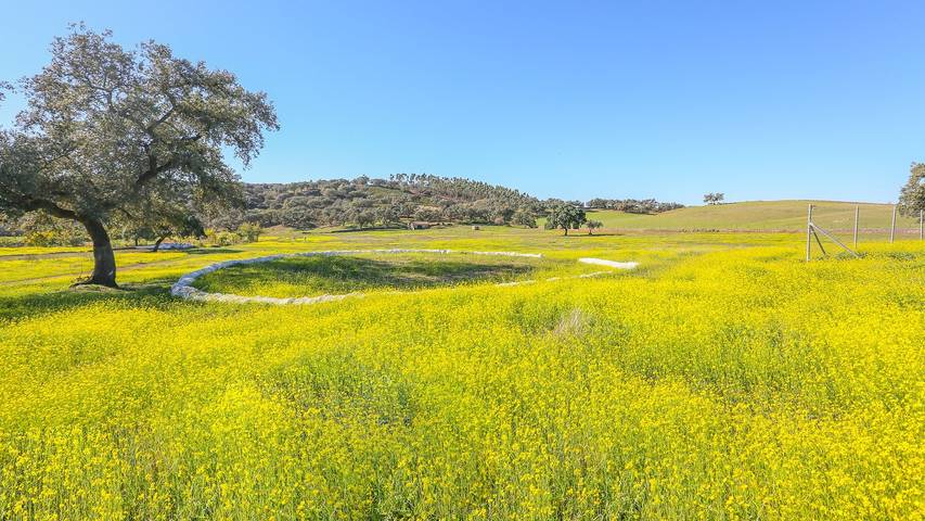Chalet para 8 personas, Se admiten mascotas en Sierra de Huelva - 4