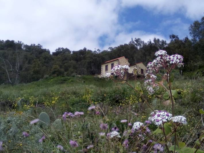 Casa rural para 5 personas, con terraza y jardín, Se admiten mascotas en Teror - 2