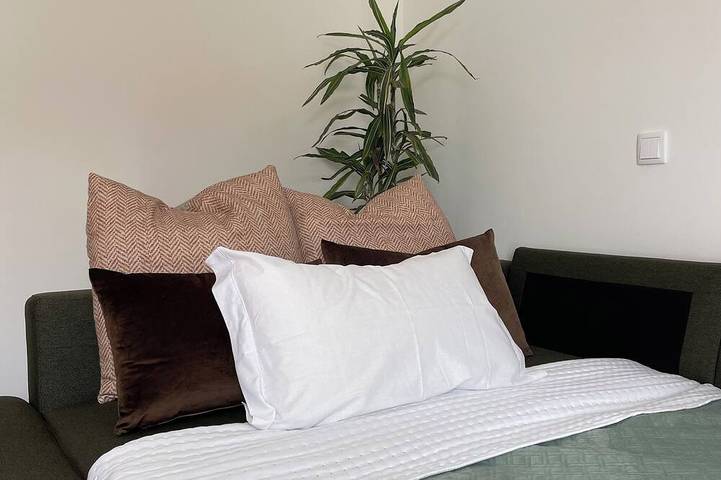 Gîte pour 6 personnes, avec terrasse et jardin, animaux acceptés dans Aguçadoura - 4