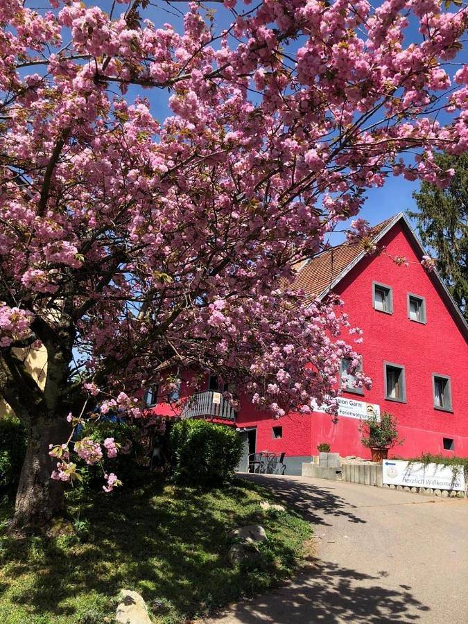 Pension Grübel in Lindau, Souabe (Bavière)