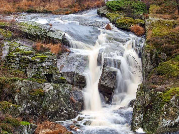 Ferienhaus für 7 Personen, mit Terrasse in Lyngdal - 3