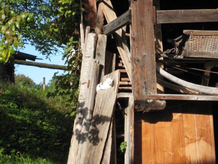 Bauernhaus für 4 Personen, mit Balkon und Balkon/Terrasse sowie Seeblick in den Bayerische Alpen - 3