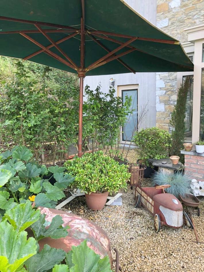 Maison de campagne pour 2 personnes, avec jardin et vue, animaux acceptés à Ciney - 2