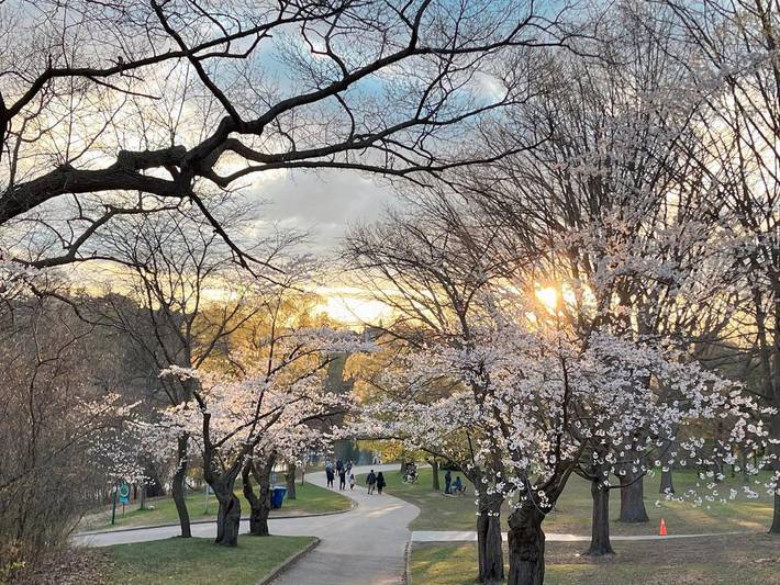 Maison d’hôte pour 2 personnes, avec jardin, animaux acceptés à Toronto - 2