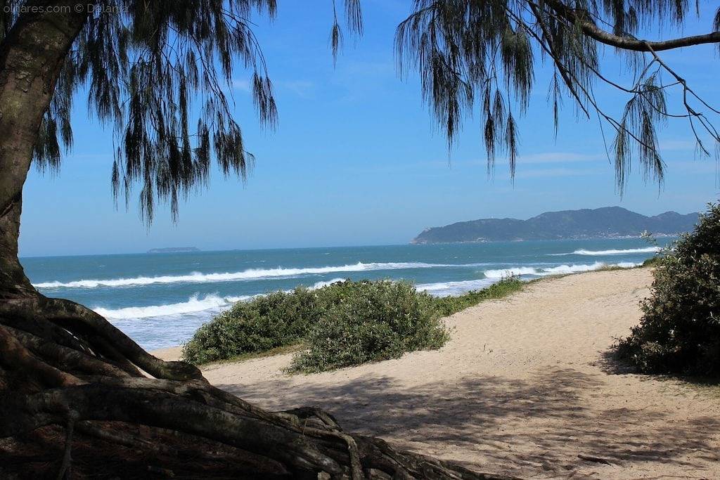 Haus 3 Schlafzimmer großen Innenhof in São João do Rio Vermelho, Florianópolis