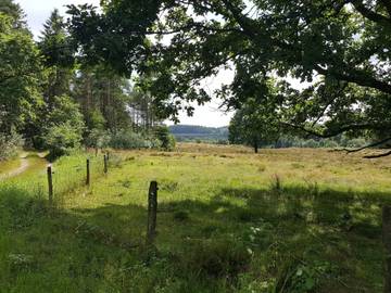 Ferienhaus für 6 Personen in Silkeborg, Bild 4