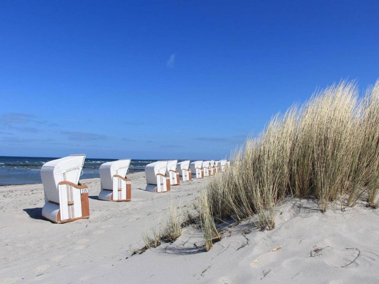 Ganze Wohnung, Helle Ferienwohnung auf der Insel Poel, top Lage in Timmendorf, Nordwestmecklenburg (Wismar und Umgebung)
