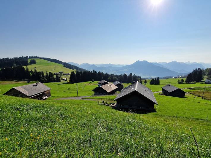 Ferienhaus für 4 Personen, mit Ausblick und Garten in Bodensee-Vorarlberg - 2