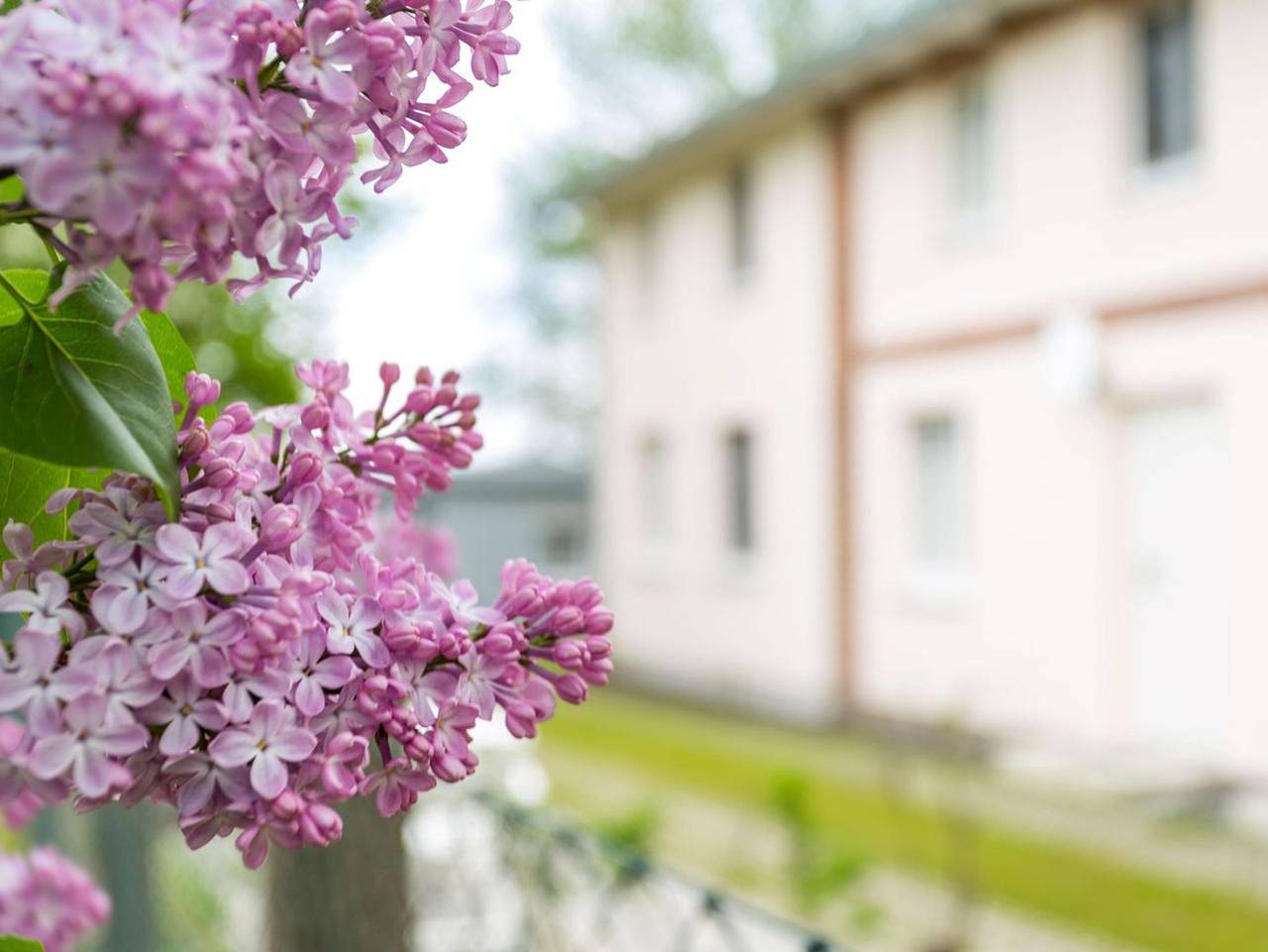 Ferienwohnung in Rügen ab 93€ pro Nacht