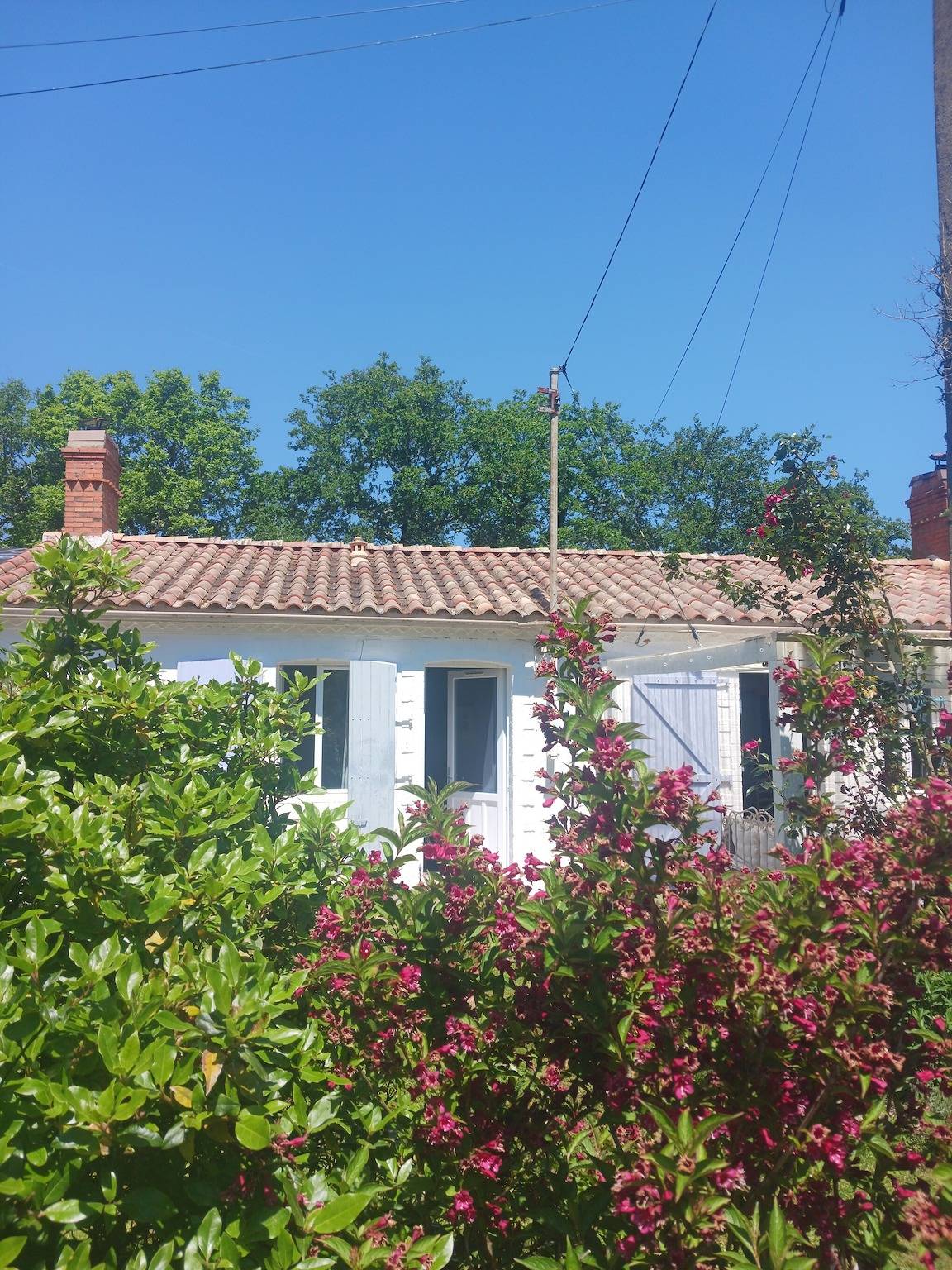 Chambre d’hôtes « Cocon de Verdure » dans le Marais Breton Vendéen à 25 mn de Noirmoutier in Châteauneuf (Vendée), Vendée