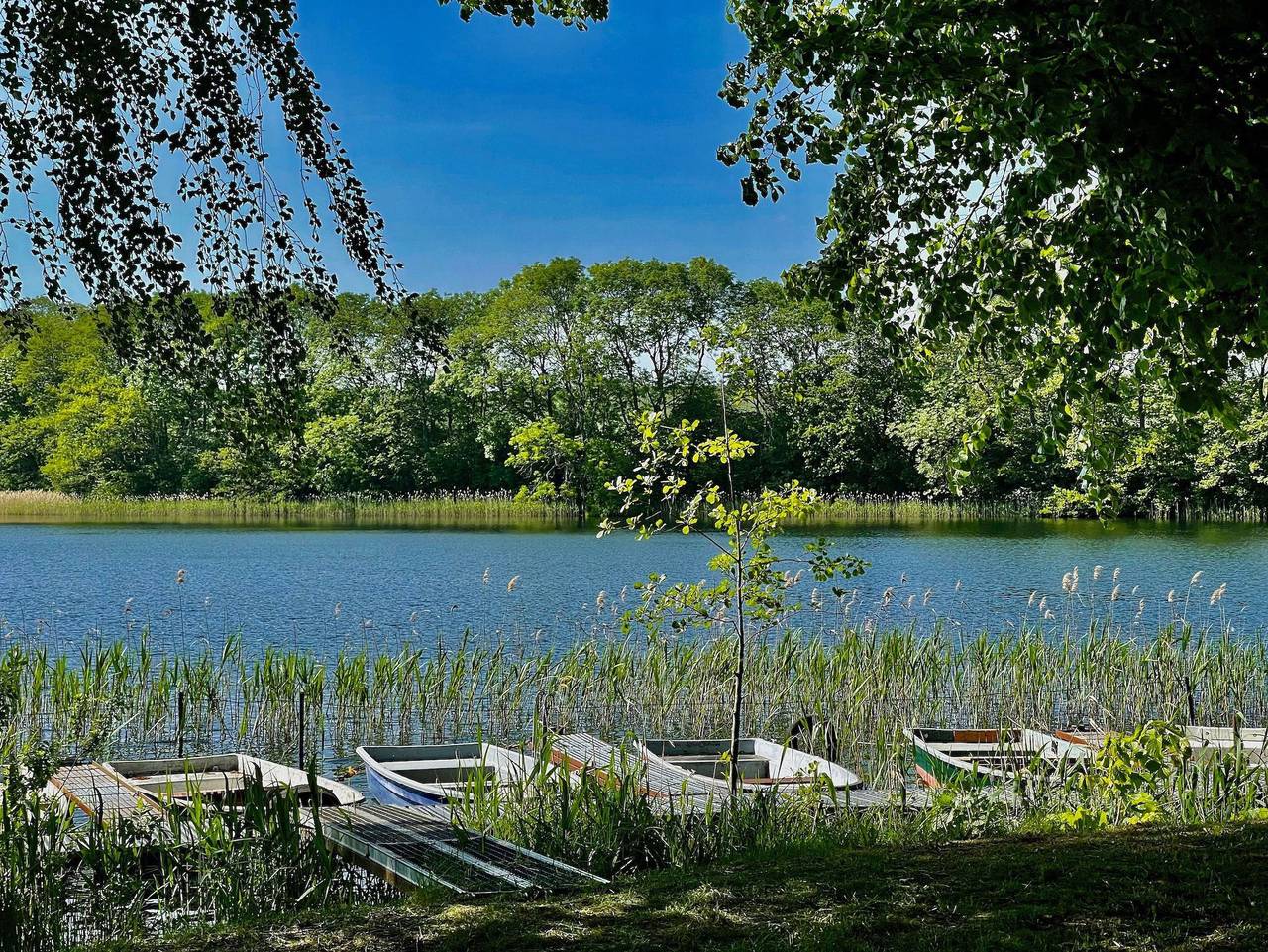 Ferienhaus Am Flachsee - Am Flachsee in Grabowhöfe, Mecklenburgische Seenplatte