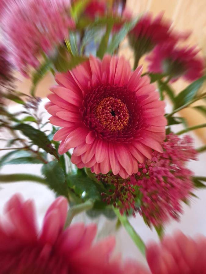 Maison d’hôte pour 2 personnes à Brême - 2