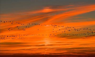 Ferienhaus für 4 Personen, mit Garten und Sauna in Putgarten