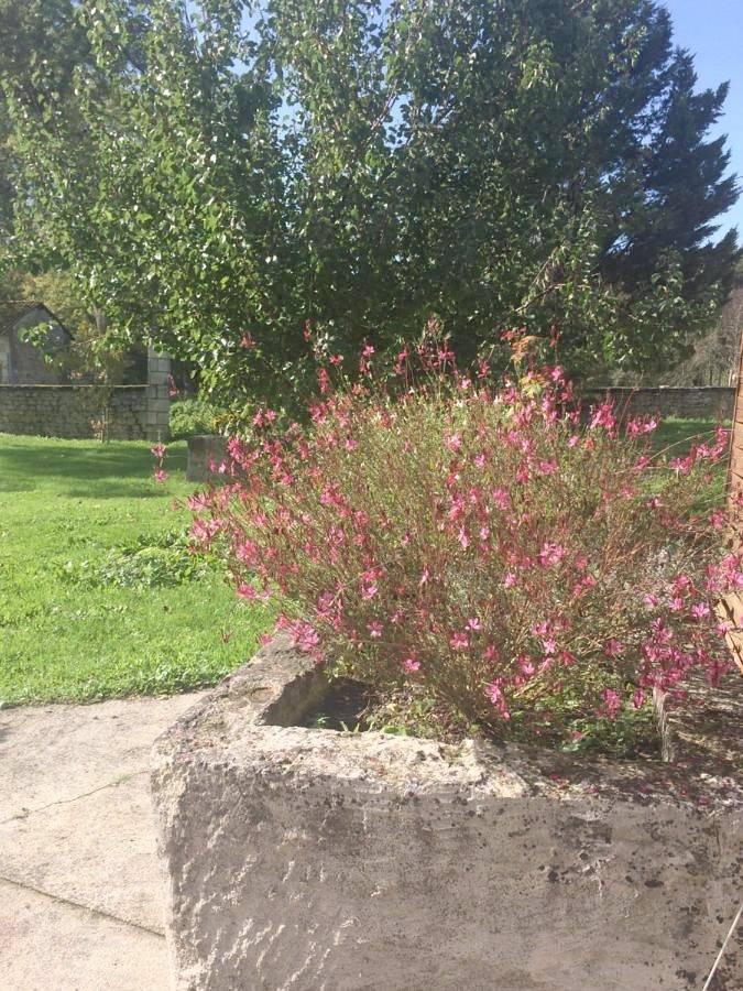 Location de vacances pour 6 personnes, avec jardin ainsi que piscine et vue à Allas-Bocage - 2