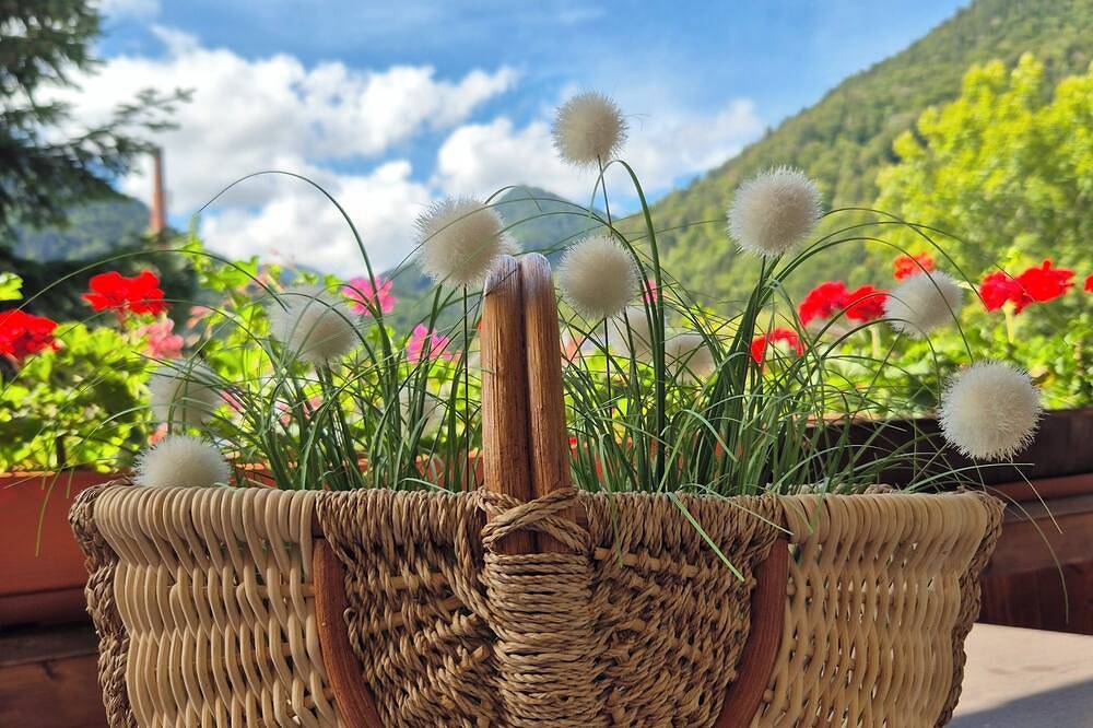 Ganze Wohnung, Gemütliche Einzimmer-Wohnung mit Blick auf die Berge in Oberau, Bayerische Alpen