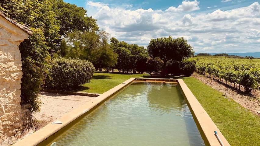 Location de vacances pour 12 personnes, avec vue ainsi que jardin et piscine à Saint-Pierre-de-Vassols - 3