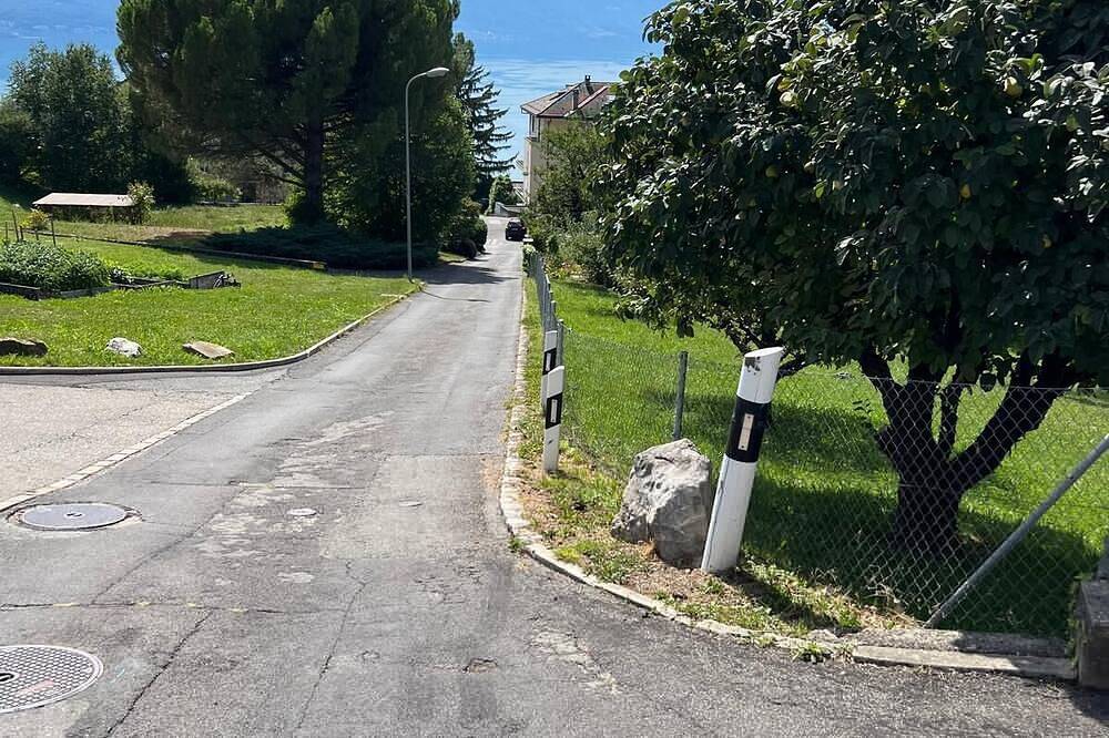 Ganze Wohnung, Montreux Heights in Chernex, Montreux