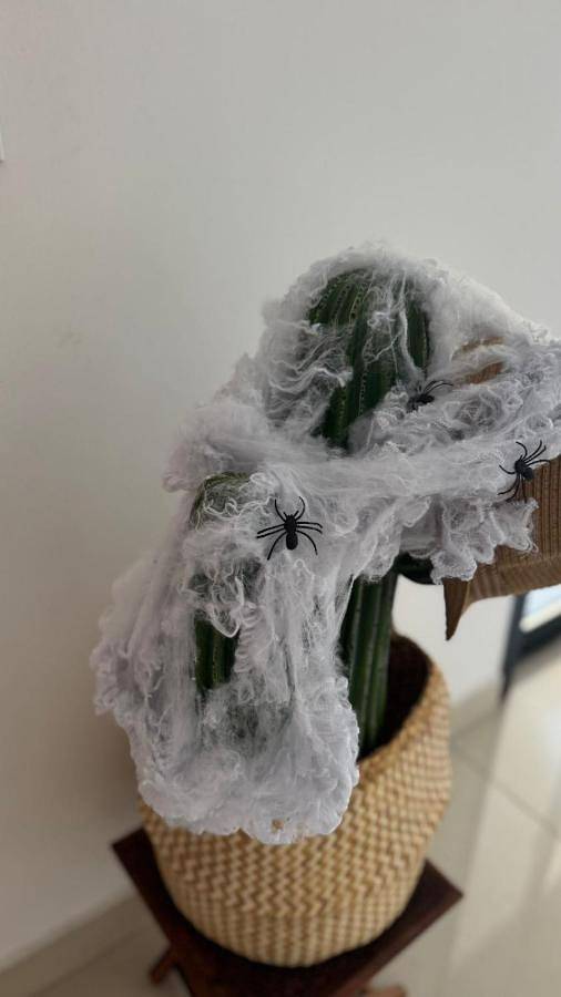 Location de vacances pour 12 personnes, avec jardin et piscine à Saint-Étienne-du-Grès - 2