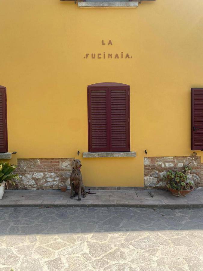 Chambre d’hôte pour 2 personnes, avec jardin et vue, animaux acceptés à Campiglia Marittima - 3