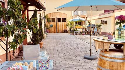 Ferienwohnung für 6 Personen, mit Terrasse in Neustadt an der Weinstraße