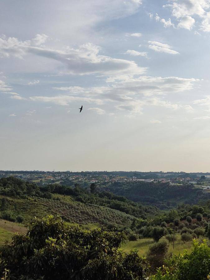 Location de vacances pour 5 personnes, avec vue et terrasse à Batalha - 4