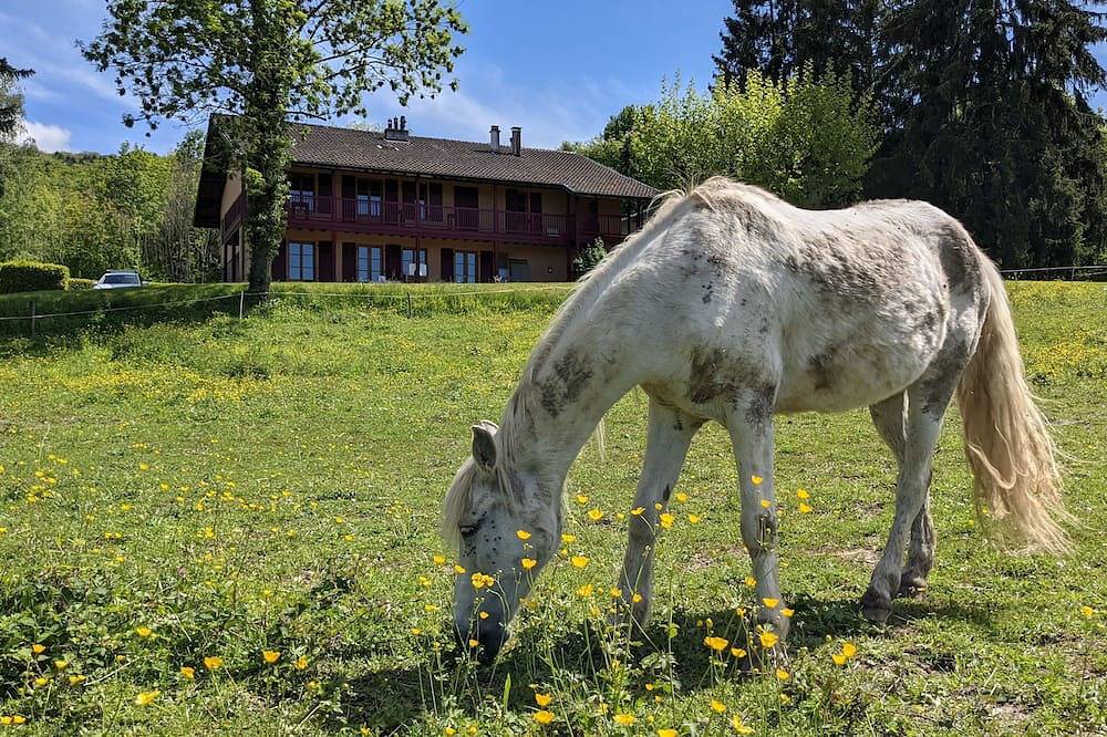 Gîte Les Vernes (11-13 pers.) in Maxilly-sur-Léman, Région de Thonon-les-Bains