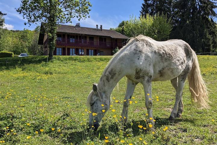 Location de vacances pour 13 personnes, avec Terrasse et Jardin à Maxilly-sur-Léman