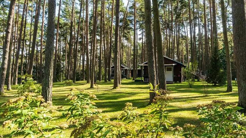 Ferienhaus für 3 Personen, mit Pool und Garten, mit Haustier