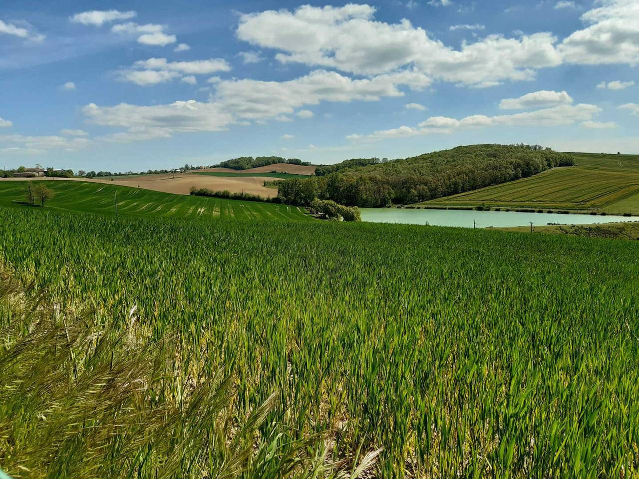 Les Acacias d'En Cassé in Lavaur, Castres und Umgebung