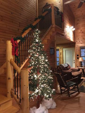 Glamping for 4 Guests in Blount County, Picture 2