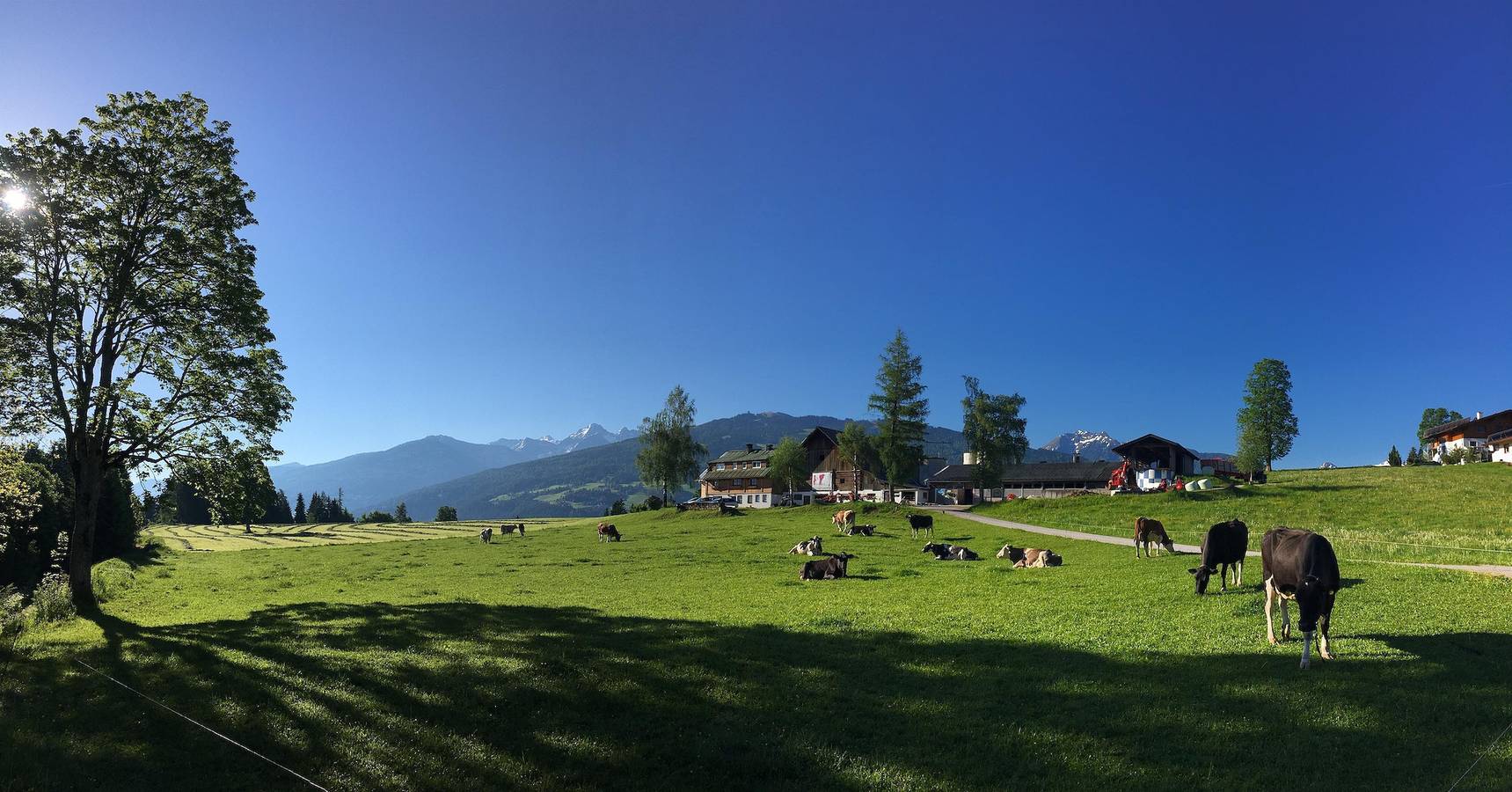 Burglehnerhof in Ramsau am Dachstein, Schladming-Dachstein