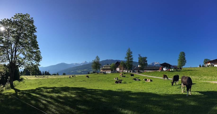 Bauernhof für 6 Personen, mit Balkon und Garten in Ramsau am Dachstein