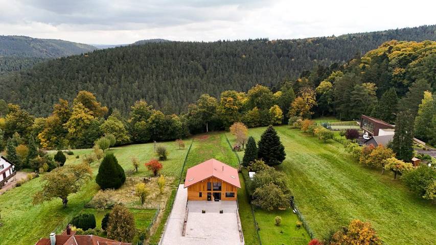 Location de vacances pour 14 personnes, avec jacuzzi ainsi que jardin et sauna à Wangenbourg-Engenthal - 3