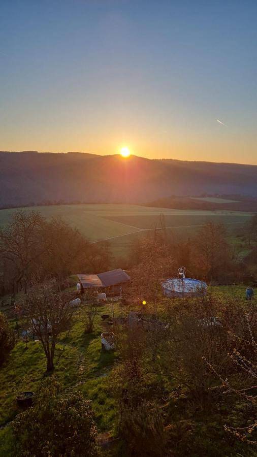 Ferienwohnung für 4 Personen, mit Ausblick und Terrasse, mit Haustier in Bacharach