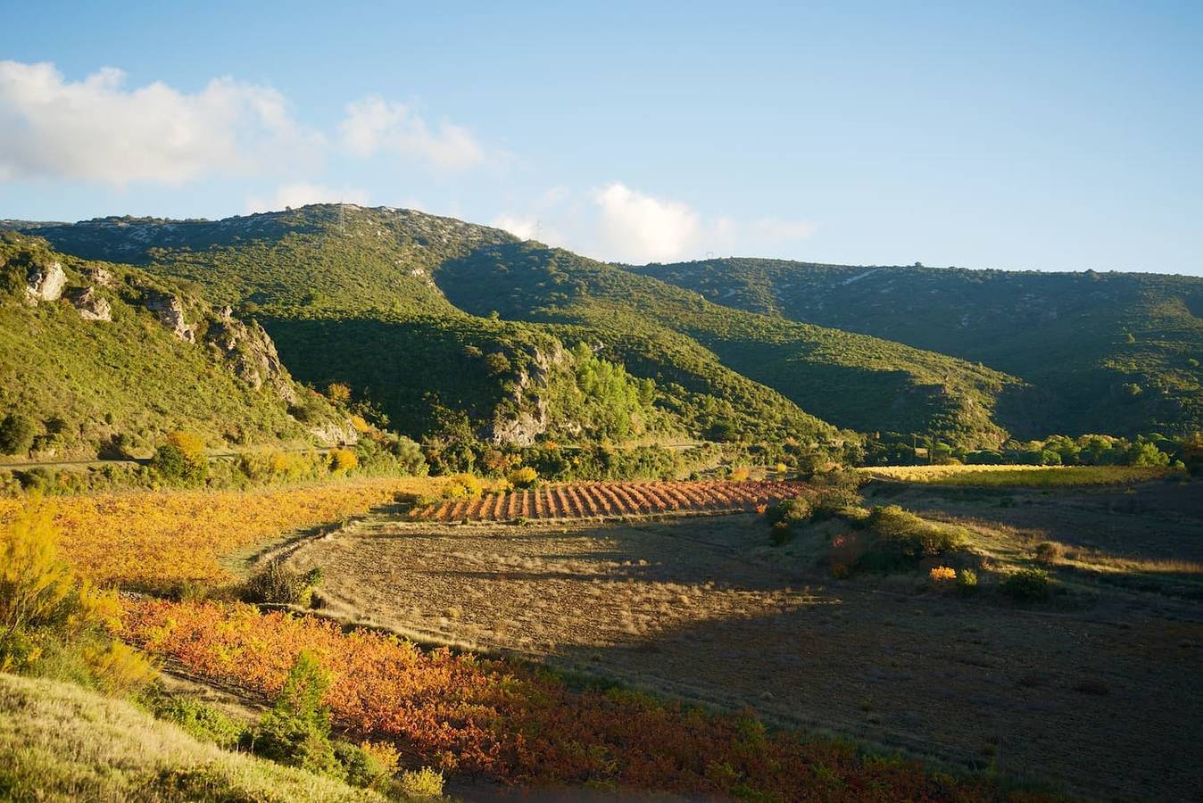 Stunning House in sunny Peyriac-de-Mer. Sleeps 8 in Peyriac-de-Mer, Côte d'Améthyste