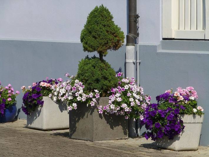 Maison d’hôte pour 3 personnes, avec vue dans Schwytz - 2