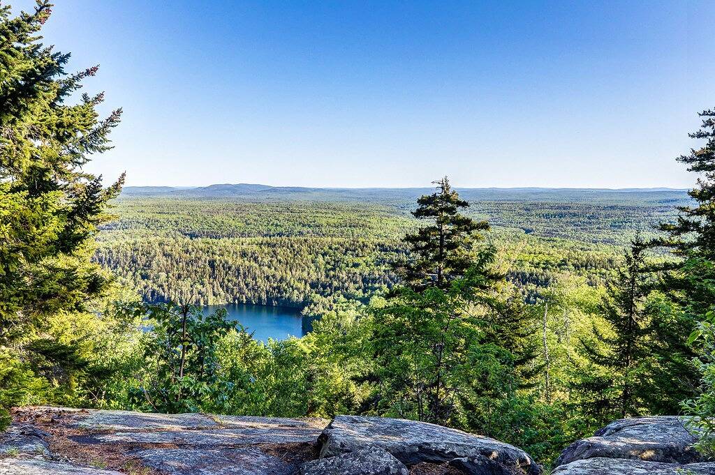 Hundefreundliche Blockhütte mit herrlichem Seeblick in der Nähe von Strand- und Schneemobilwegen! in Piscataquis County