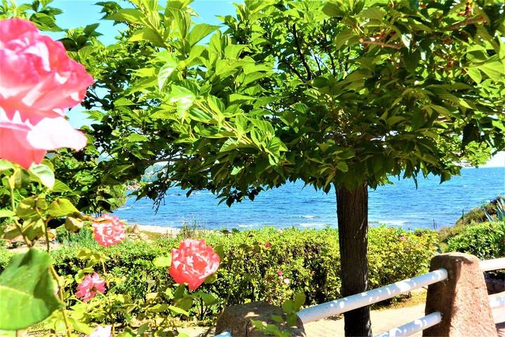 Appartement de vacances pour 3 personnes, avec Terrasse en Corse