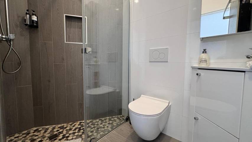 Gîte pour 10 personnes, avec jardin, animaux acceptés à Maisons-Alfort - 4