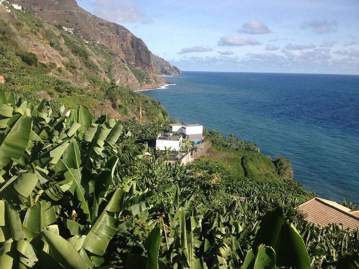 Bungalow für 3 Personen, mit Pool und Terrasse auf Madeira - 2