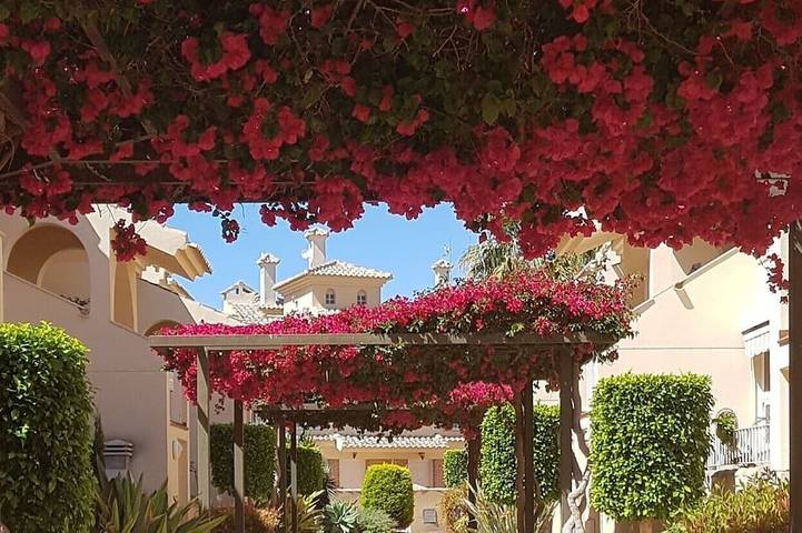 Bungalow para 4 personas, con piscina además de terraza y jacuzzi en Los Alcázares